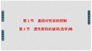 高中生物 第4章 基因的表達(dá) 第2節(jié) 基因?qū)π誀畹目刂?、?節(jié) 遺傳密碼的破譯課件 新人教版必修2