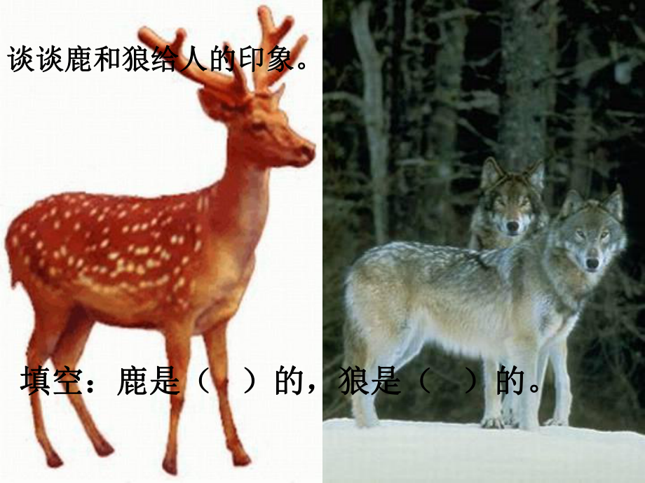 鹿和狼的故事课件 (2)_第1页