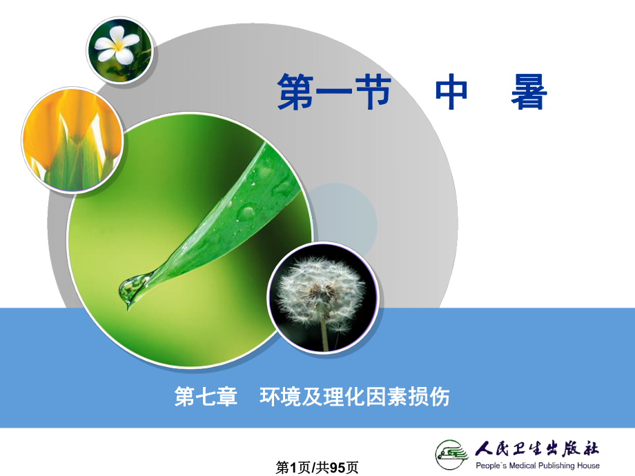 环境及理化PPT课件_第1页