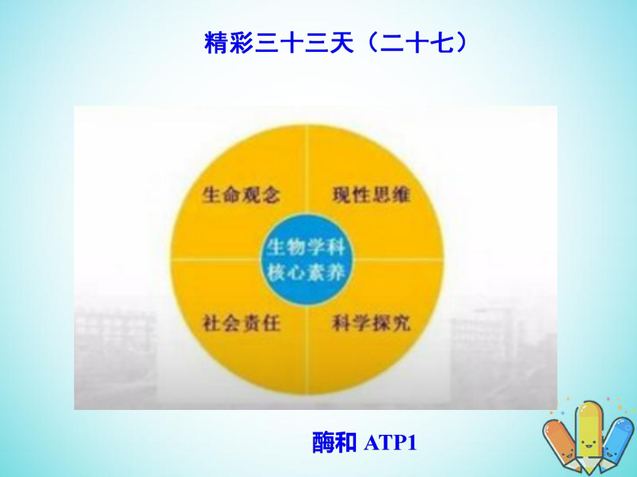 生物总精彩三十三天（二十七）酶和ATP1_第1页