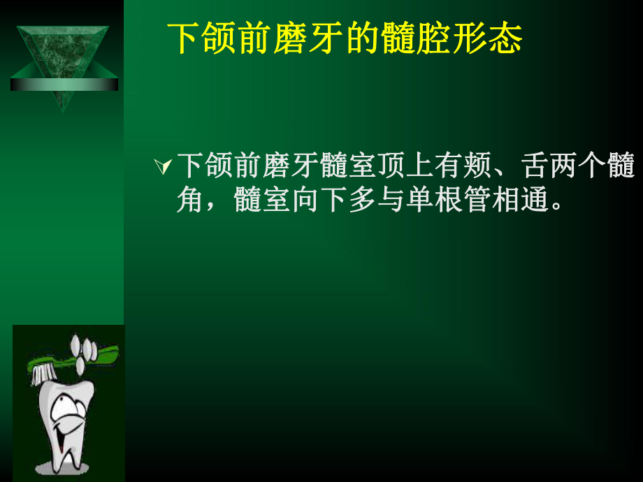 口腔解剖生理学：下颌前磨牙的髓腔形态_第1页