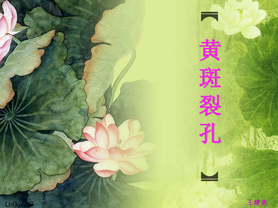 眼底病黄斑裂孔ppt课件_第1页
