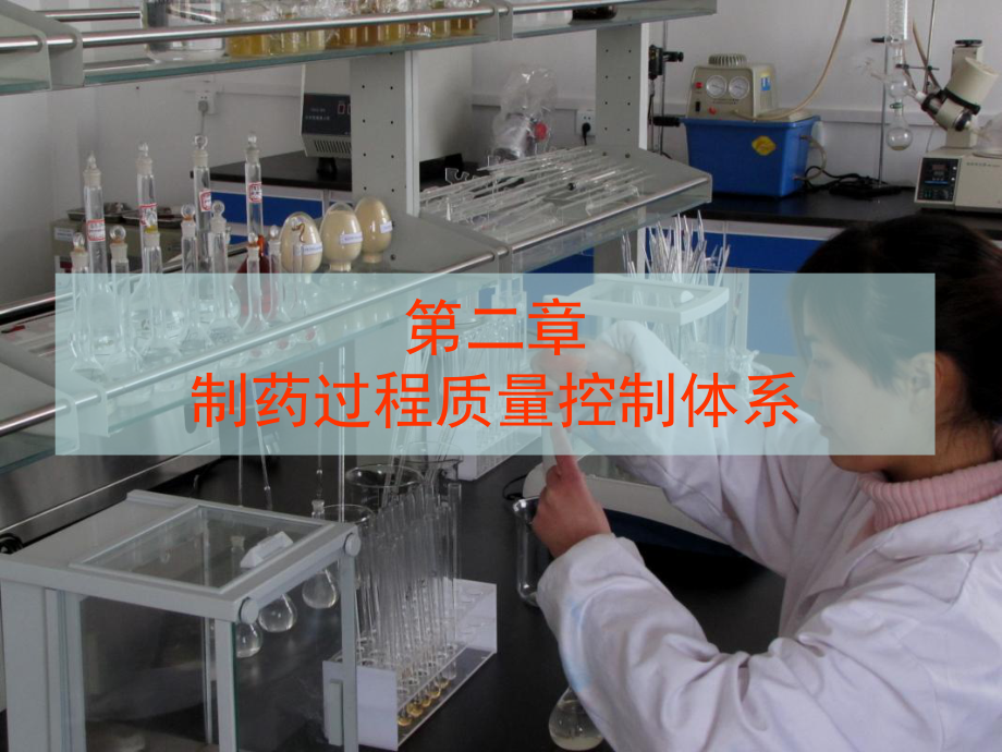 制药过程质量控制体系_第1页
