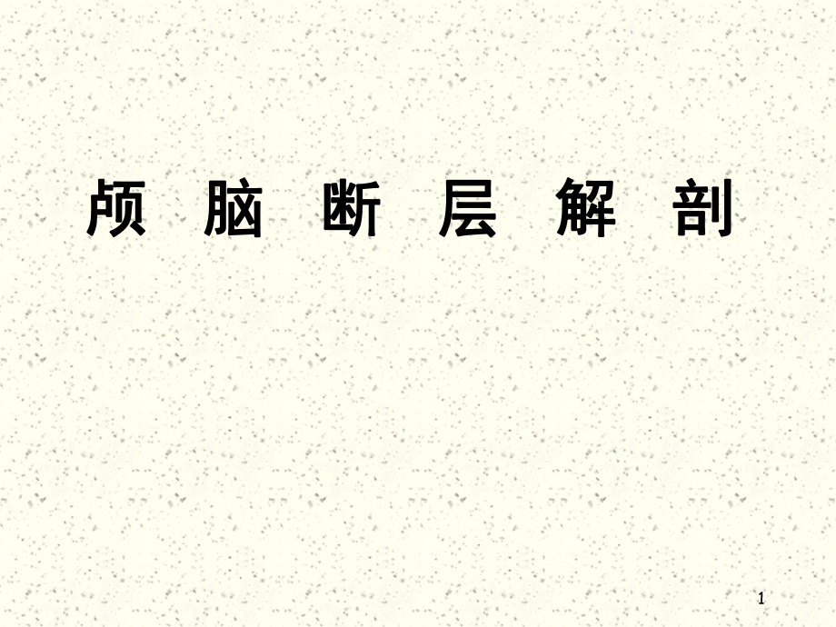 颅脑断面解剖PPT课件_第1页
