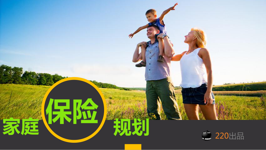 三口之家家庭保险规划_第1页