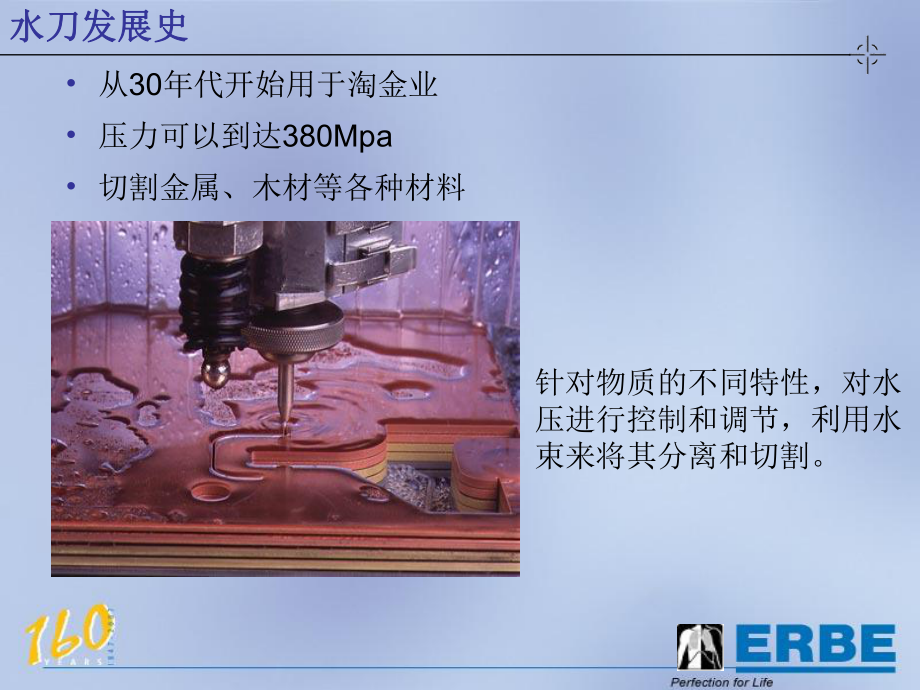 ERBE肝胆外科培训幻灯文档资料_第1页