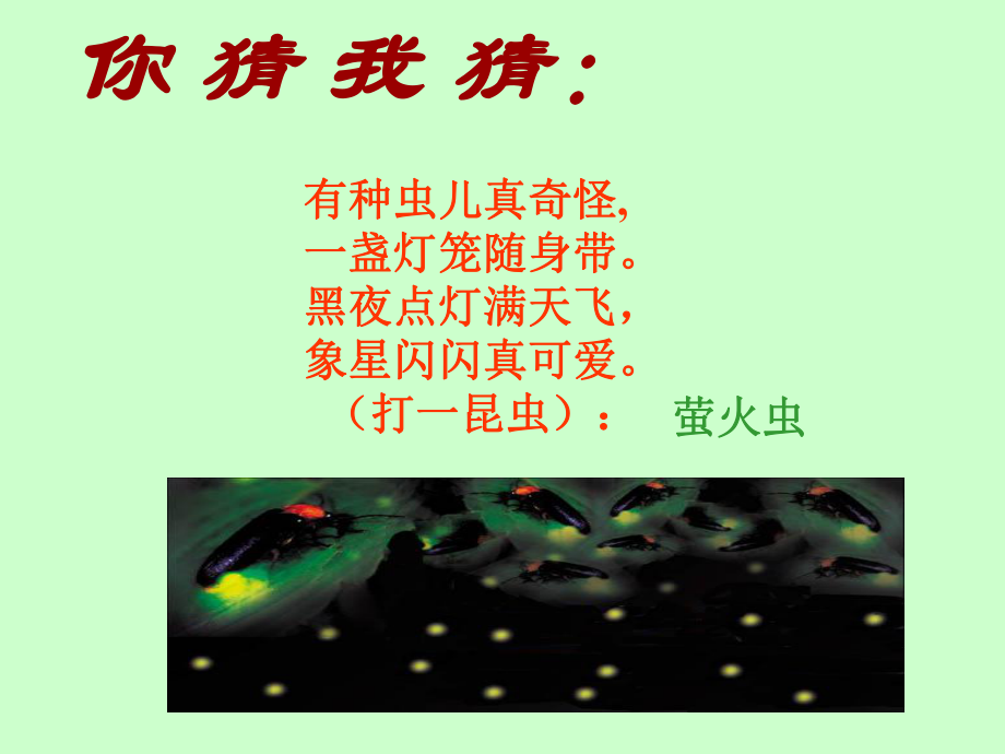 23绿色蝈蝈课件_第1页