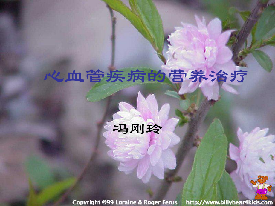 心血管疾病的营养治疗_第1页