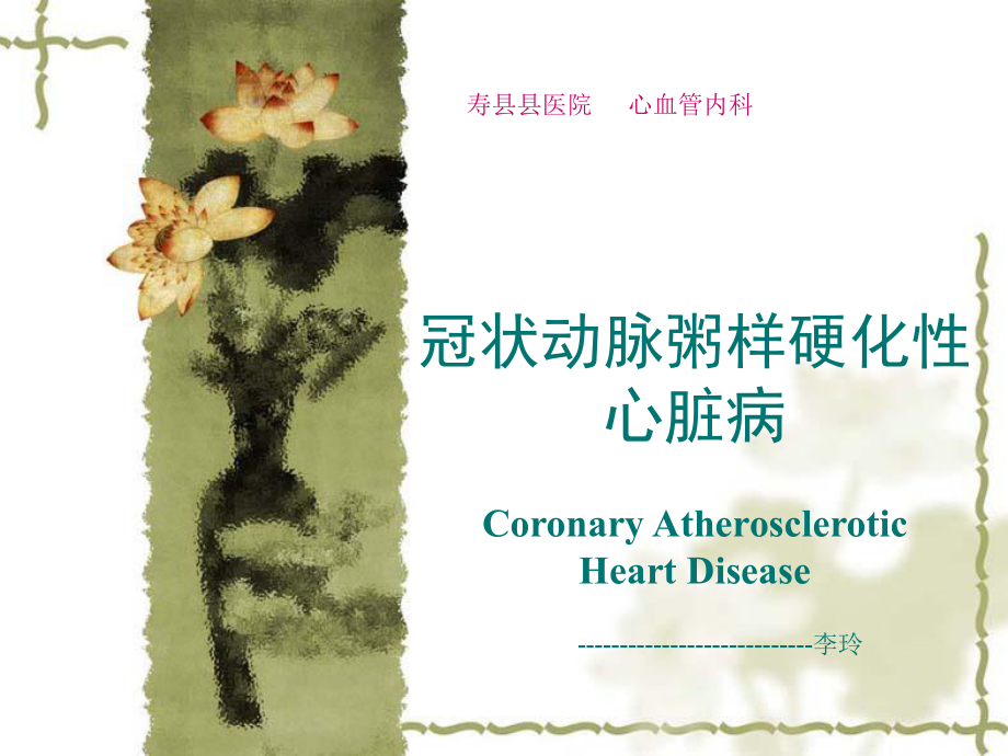 心绞痛简化版(护理内容未删减)_第1页