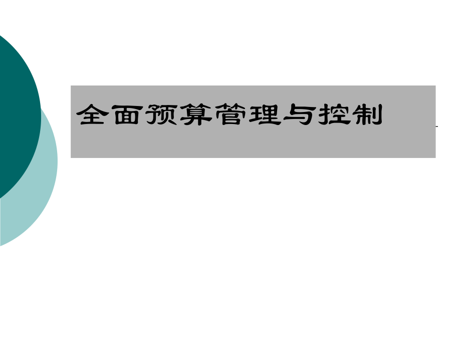 全面预算管理控制_第1页