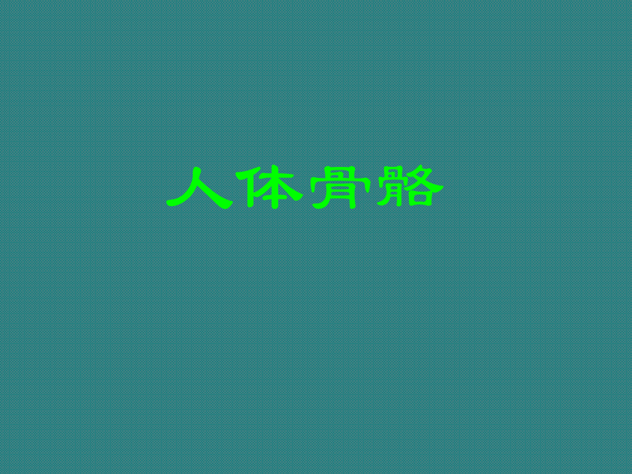 人体骨骼构成图(简单)_第1页