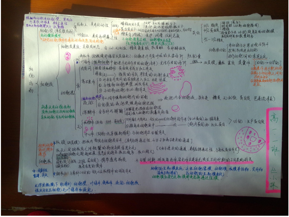 高一一班思维导图优秀作业_第1页