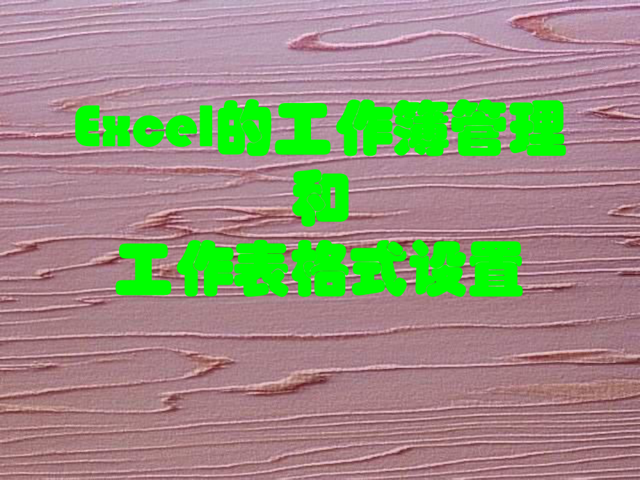 Excel的工作簿管理和工作表格式设置_第1页