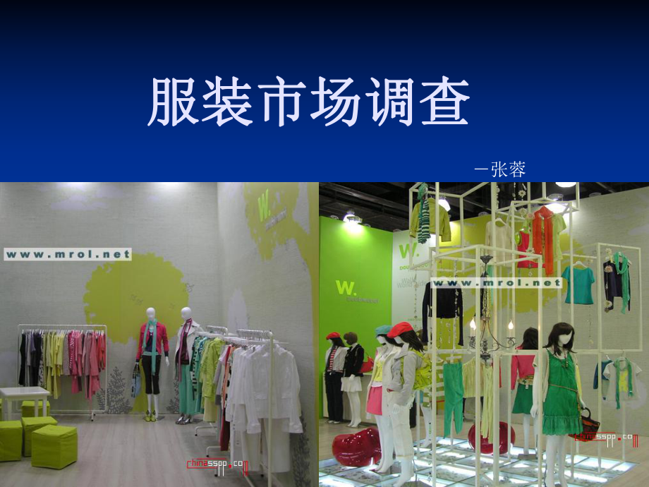 服装市场调查模板_第1页