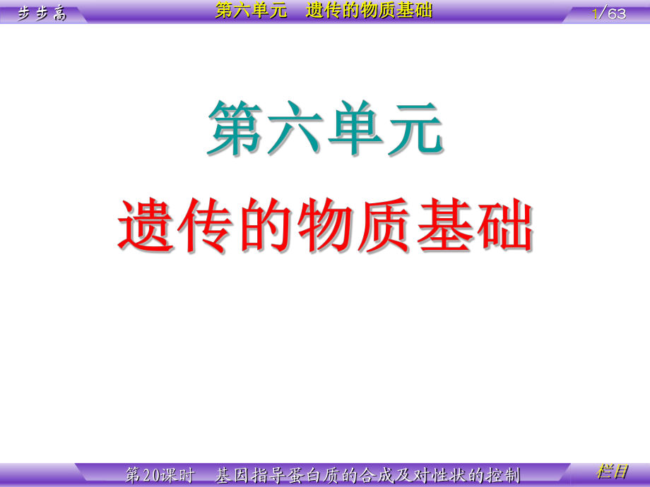 第6单元遗传的物质基础第20课时基因指导蛋白质的合成及对性状的控制_第1页