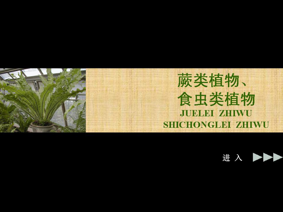 蕨类植物食虫类植物课堂PPT_第1页