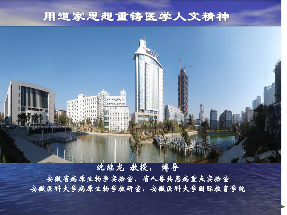 1221用传统道家思想重铸医学人文精神_第1页