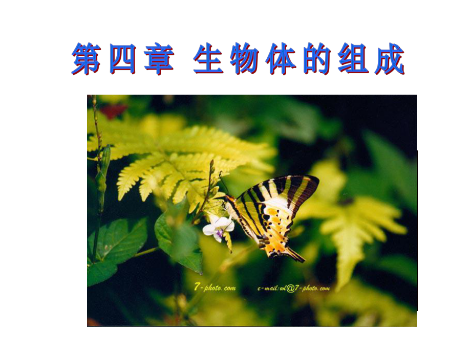 细胞的分裂与分化.ppt_第1页