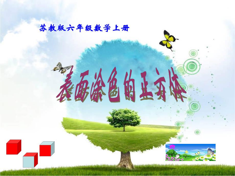 苏教版六上表面涂色的正方体_第1页