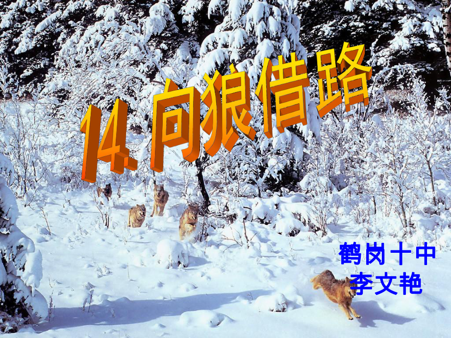 向狼借路课件新1_第1页