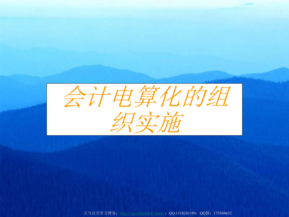 会计电算化的组织实施_第1页