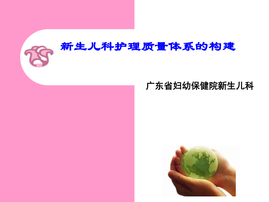 新生儿科护理质量体系的构建课件_第1页