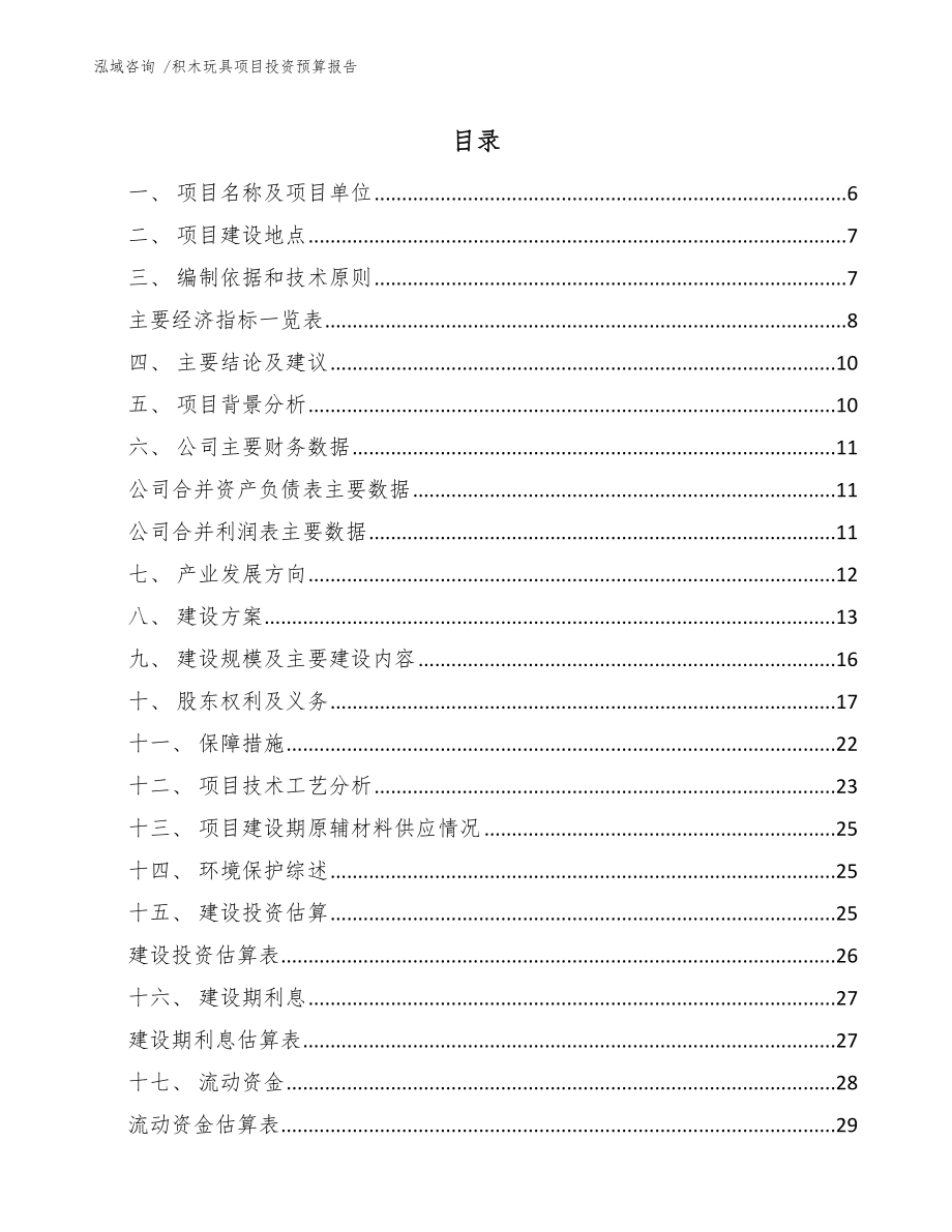 积木玩具项目投资预算报告-模板参考_第1页