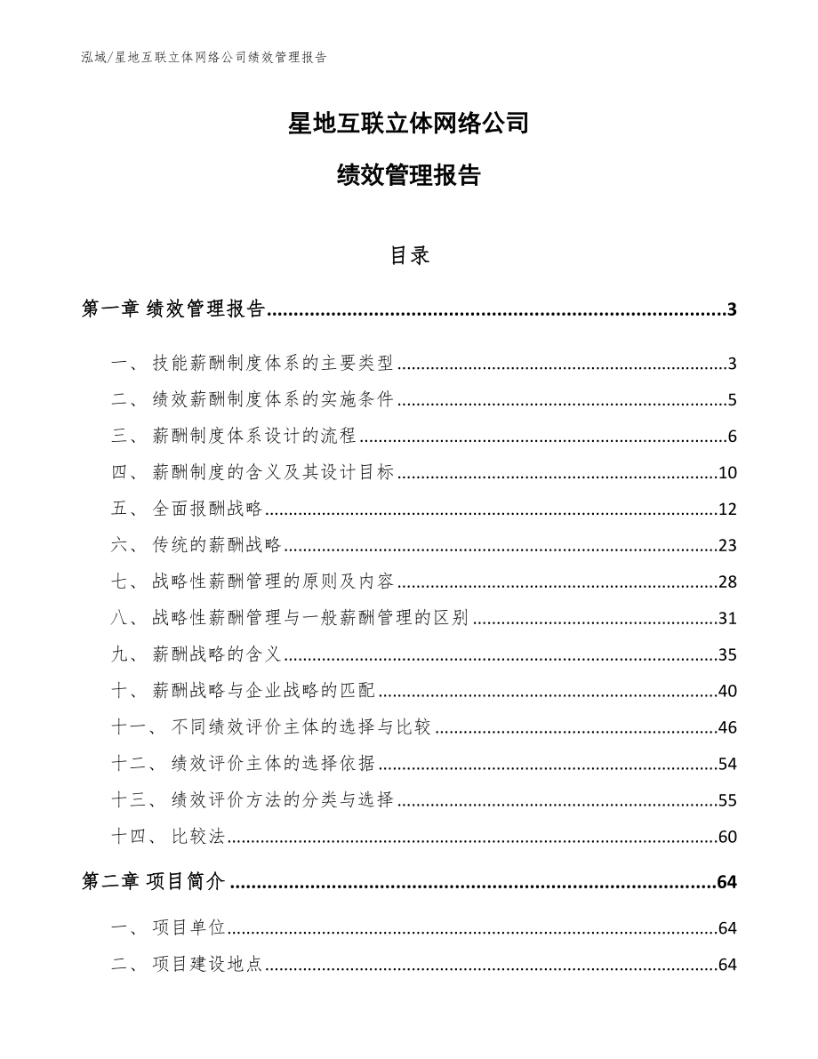 星地互联立体网络公司绩效管理报告_第1页