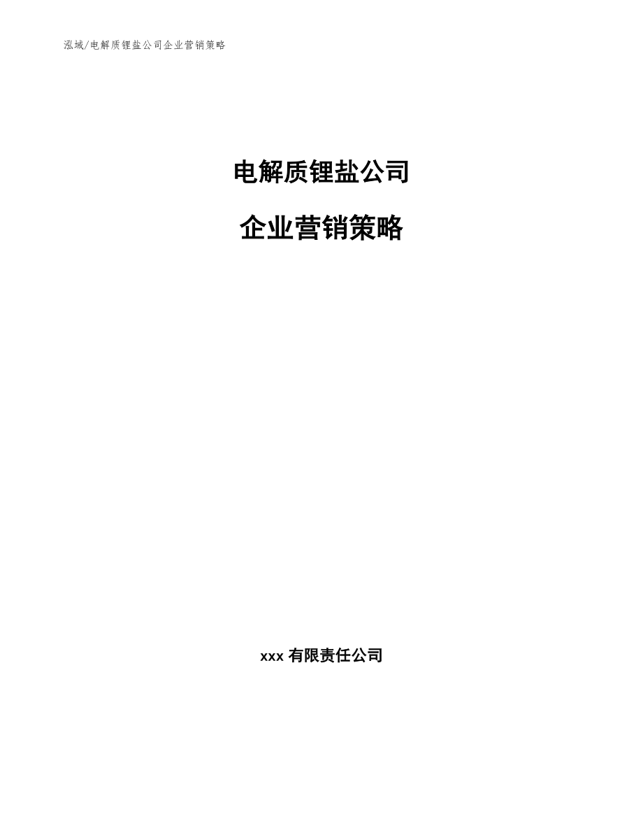 电解质锂盐公司企业营销策略【参考】_第1页