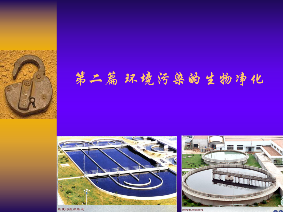 环境污染的生物净化_第1页