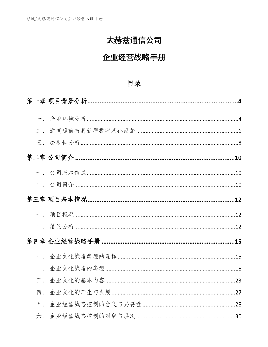 太赫兹通信公司企业经营战略手册（参考）_第1页