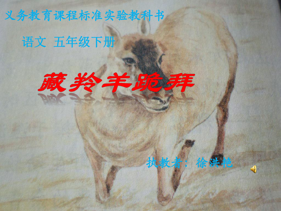 藏羚羊跪拜_第1页