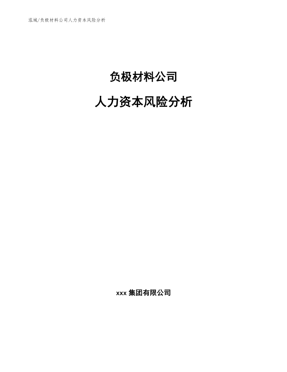 负极材料公司人力资本风险分析_范文_第1页