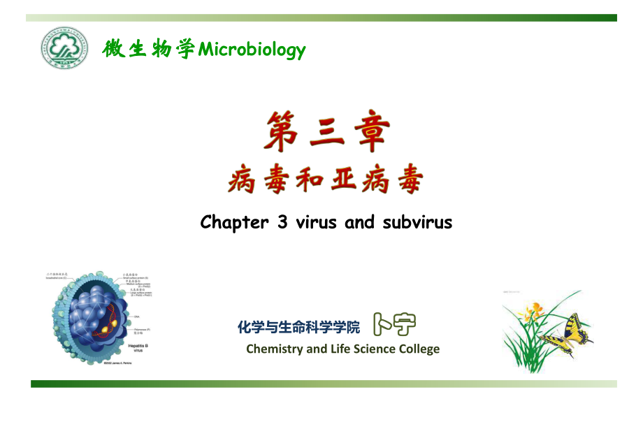 3.1微生物学ppt课件_第1页