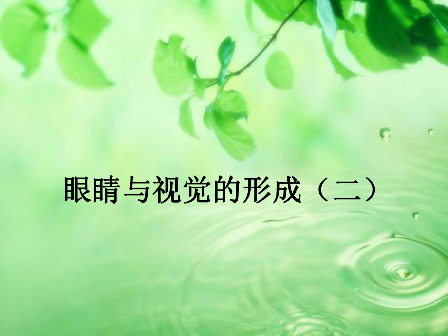 医学课件眼睛与视觉的形成二_第1页