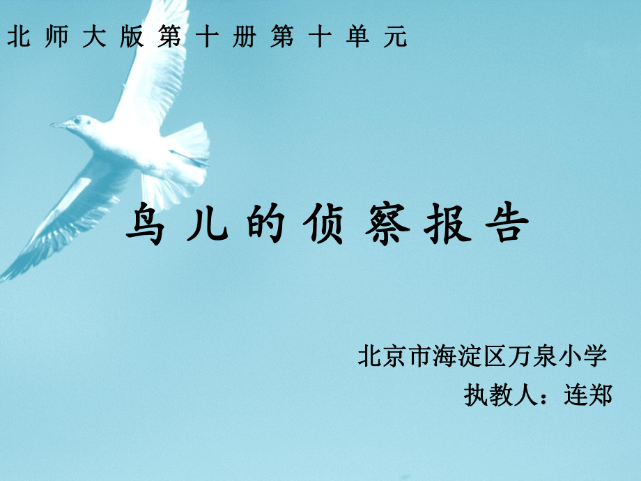 鸟儿的侦察报告_第1页