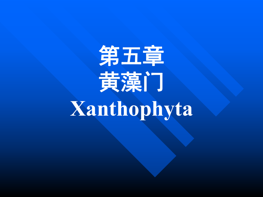 五章黄藻门Xanthophyta_第1页
