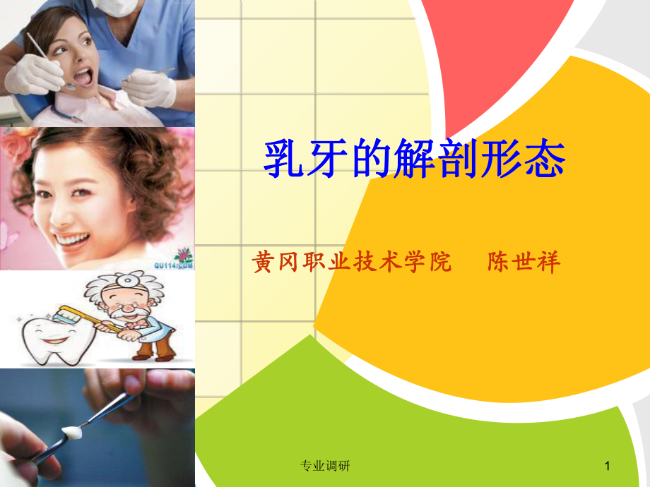 乳牙的解剖形态严选材料_第1页