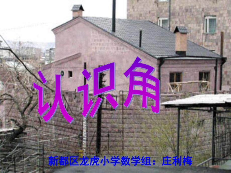 新都区龙虎小学数学组庄利梅_第1页