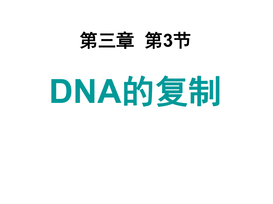 DNA的复制_第1页