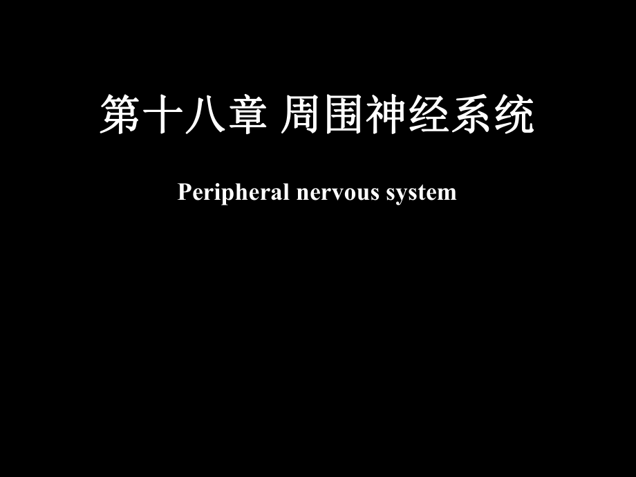 脊神经解剖图参考材料_第1页