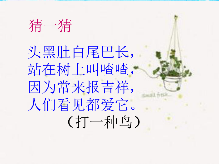 部编本《树和喜鹊》ppt课件_第1页