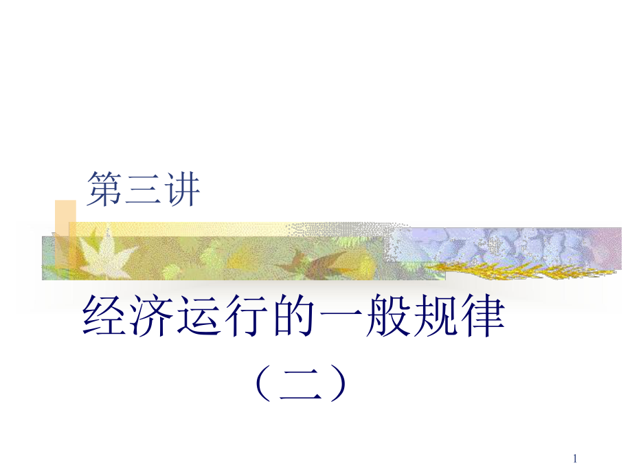 经济体制运行的一般规律_第1页