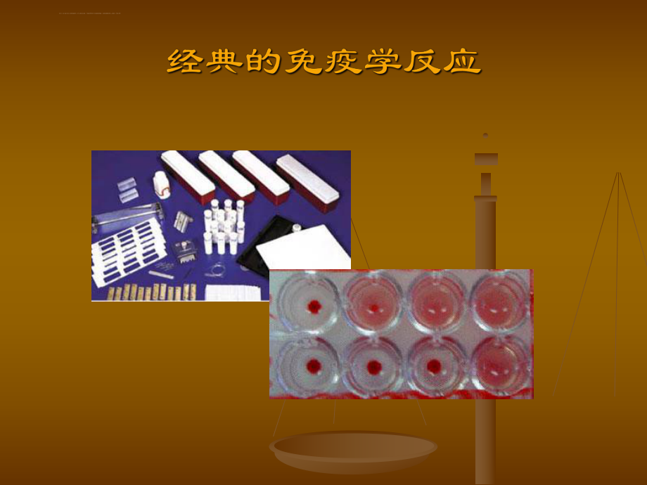 经典的免疫学反应ppt课件_第1页