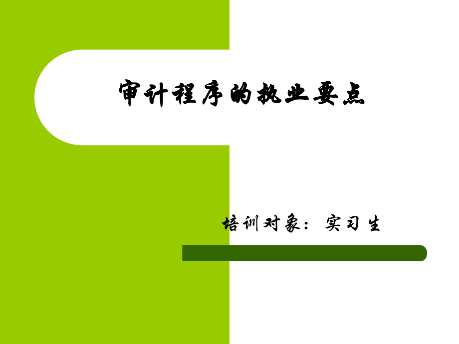 主要审计程序的执业要点_第1页