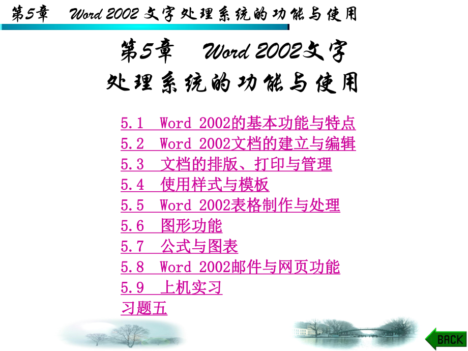 计算机应用基础第5章Word2002文字处理系统的功能与使用_第1页