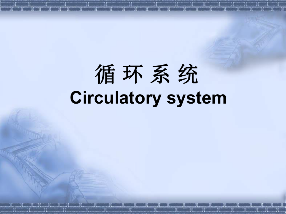 人体解剖学：循环系统实验课件_第1页