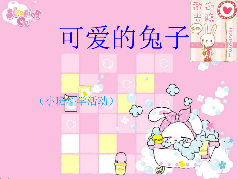 科学：可爱的小兔_第1页