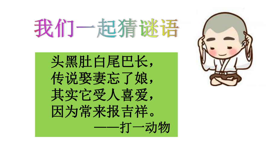 枫树上的喜鹊（公开课课件）ppt_第1页
