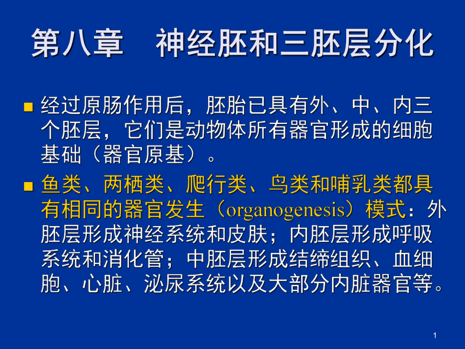 发育生物学神经胚和三胚层分化分享课件_第1页